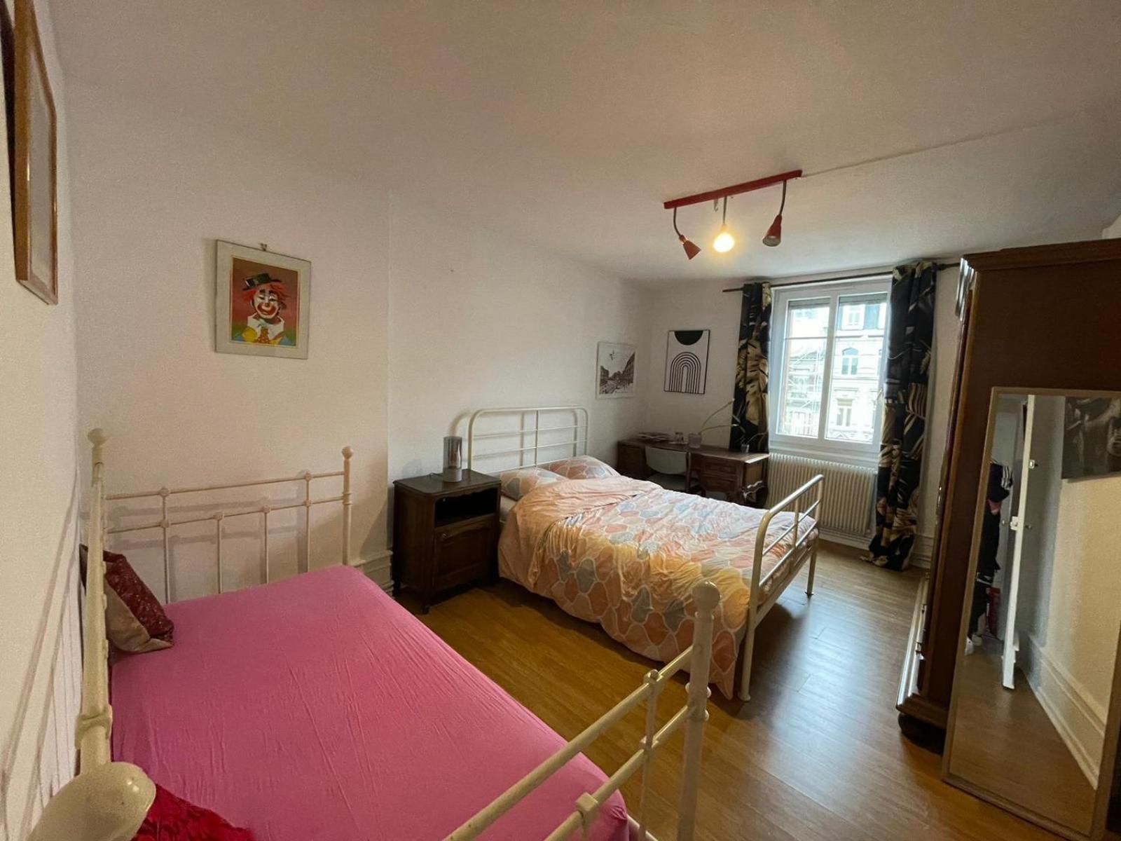 Spacious Apartment City Centre ستراسبورغ المظهر الخارجي الصورة