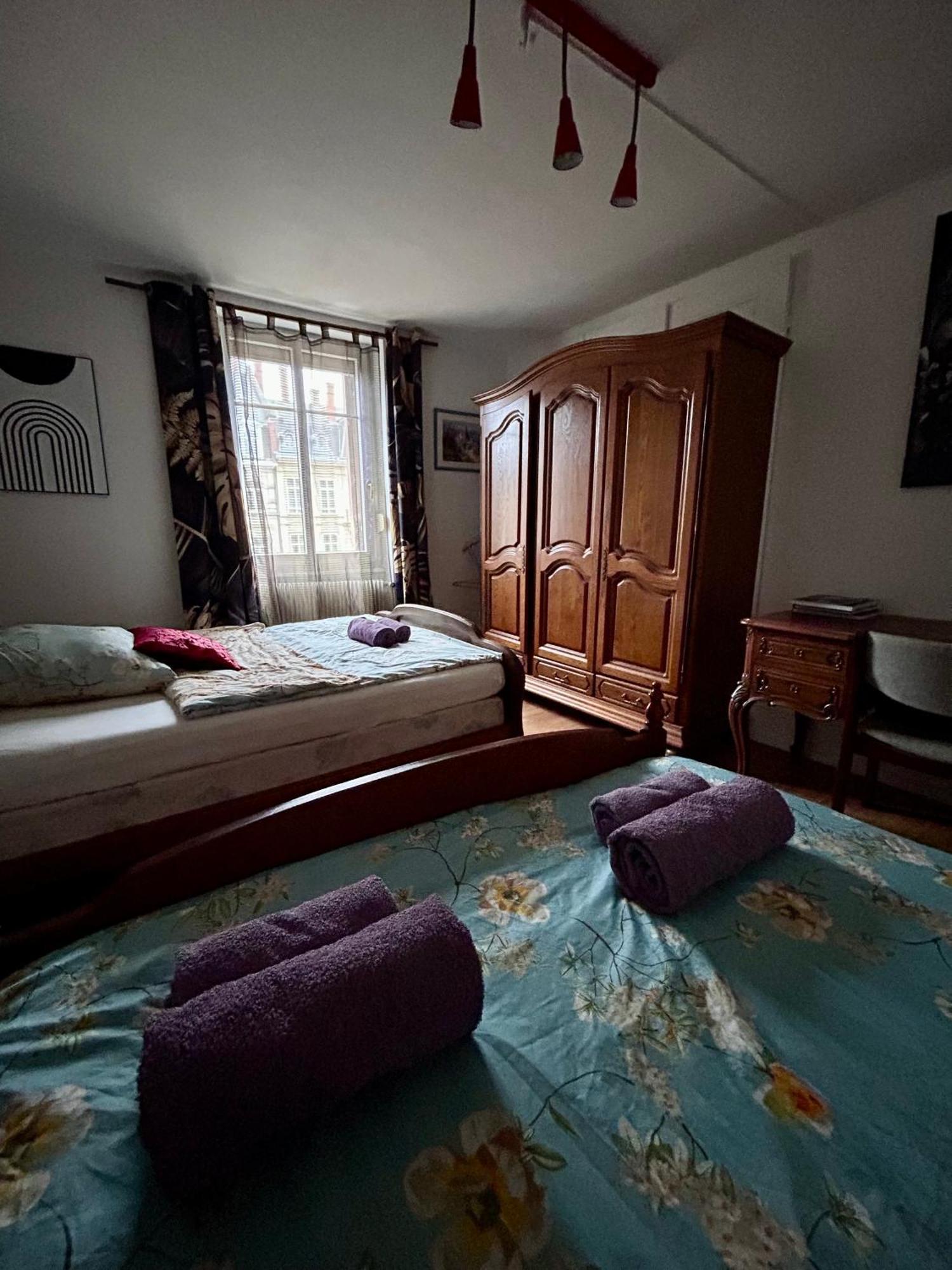 Spacious Apartment City Centre ستراسبورغ المظهر الخارجي الصورة