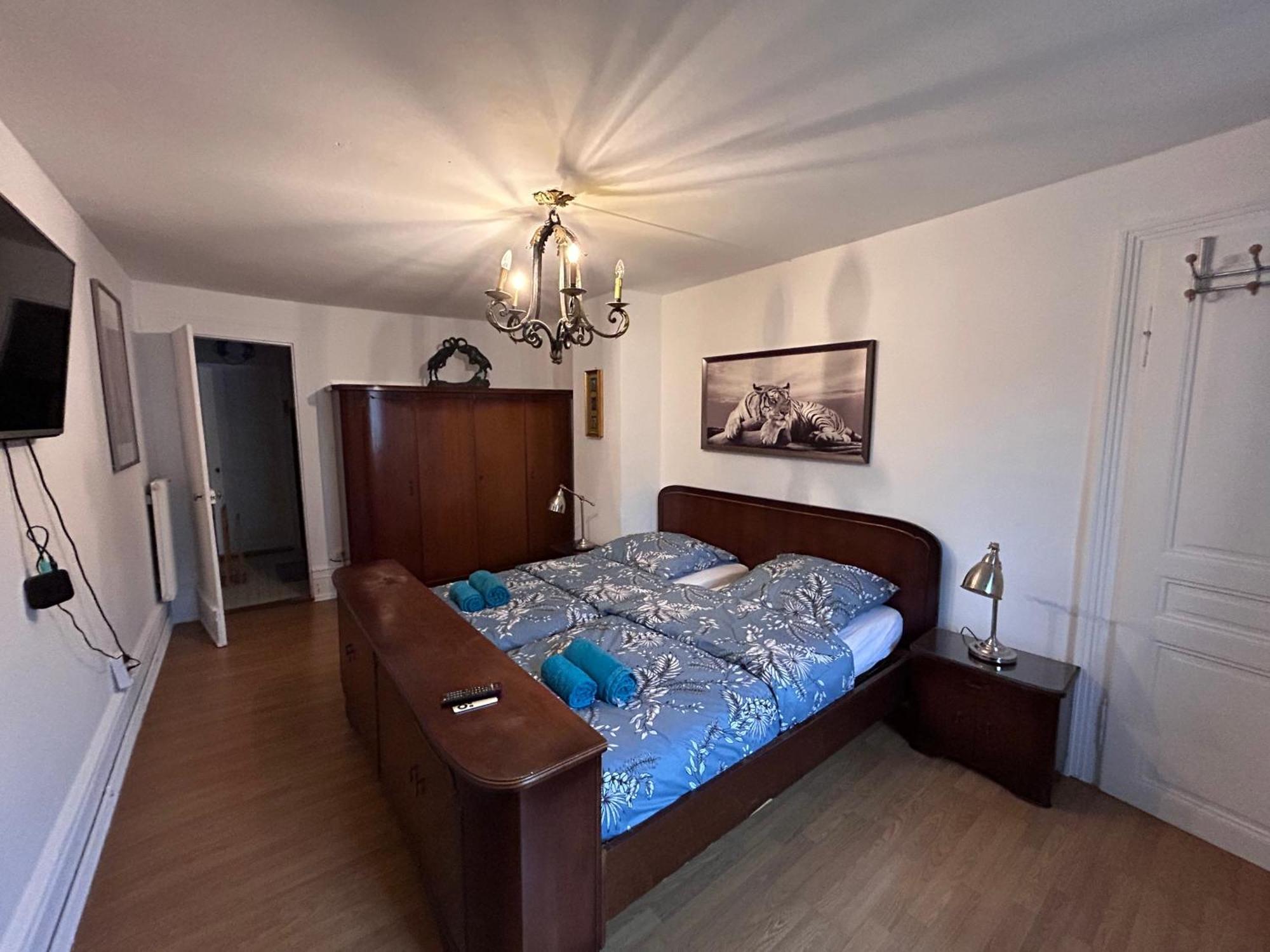Spacious Apartment City Centre ستراسبورغ المظهر الخارجي الصورة