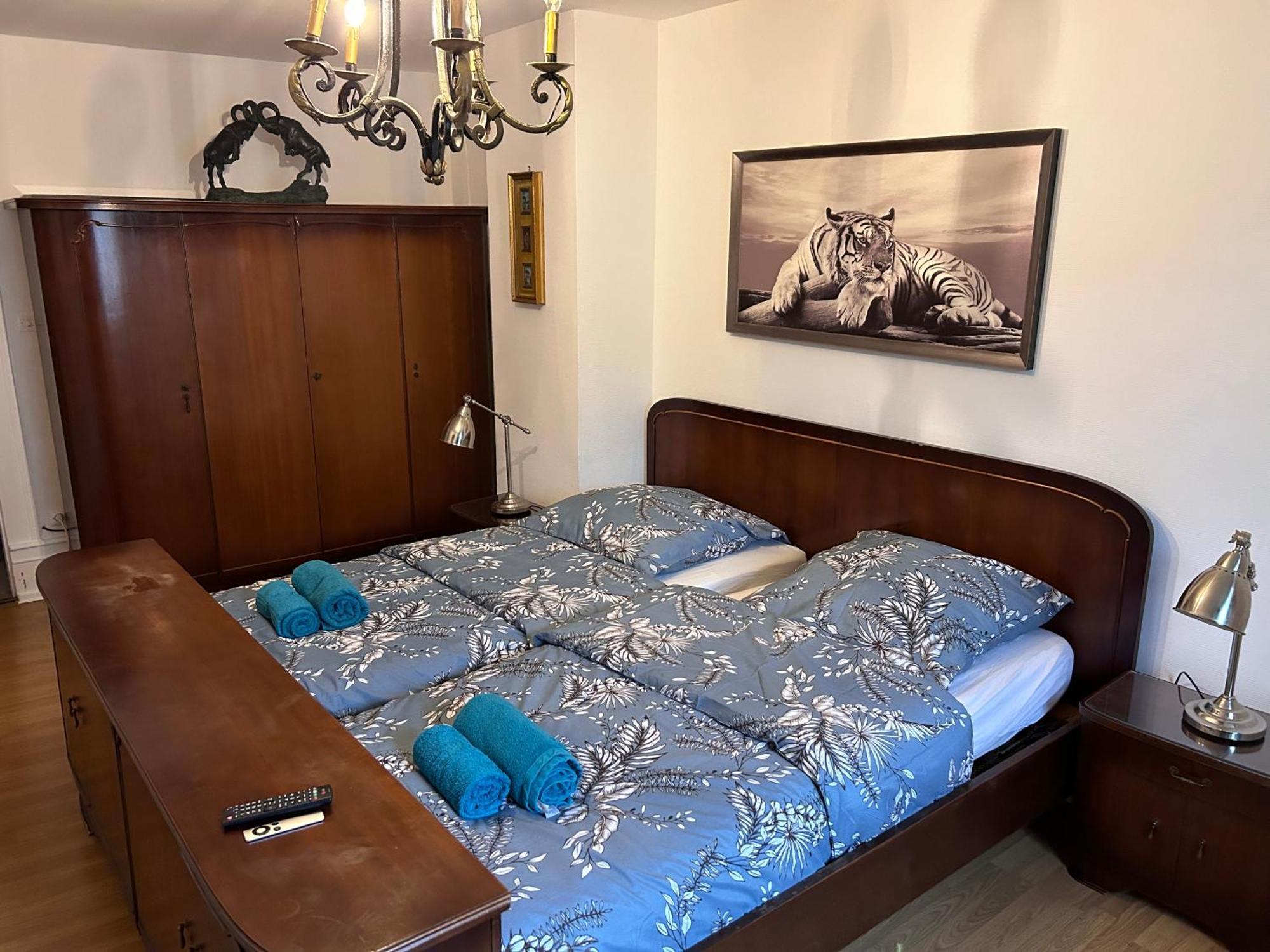 Spacious Apartment City Centre ستراسبورغ المظهر الخارجي الصورة